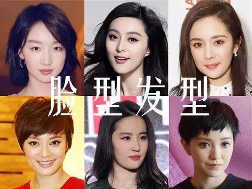 网红和明星知乎,揭秘网络时代下的影响力与生活真相